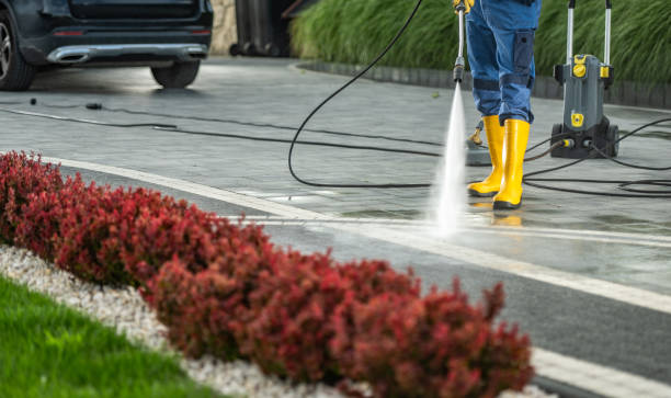 Spring Cleaning in Dolton, IL